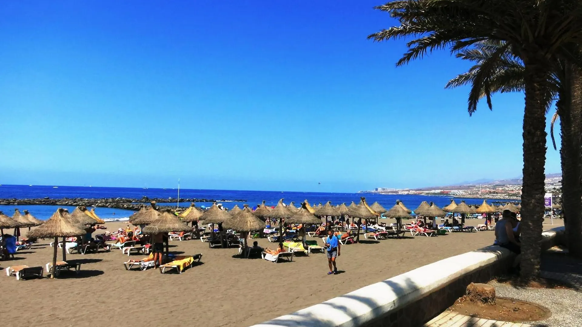 Studio With Sea View Near The Beach Playa de las Americas